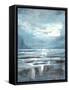 Framed Canvas
