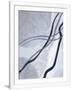 Gramercy White