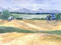 Just the Print