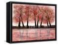 Framed Canvas