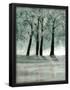 Essential Black