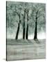 Stretched Canvas