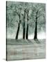 Stretched Canvas