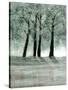 Stretched Canvas
