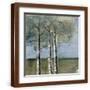 Brown Frame