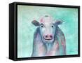 Framed Canvas