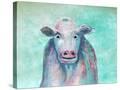 Stretched Canvas