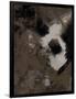 Gramercy Black