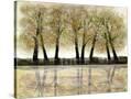 Stretched Canvas