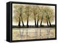 Framed Canvas