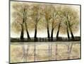Wood Mount