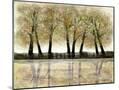 Wood Mount