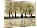 Wood Mount
