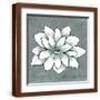 Brown Frame