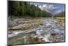 Doris Creek Runs into Hungry Horse Reservoir with Flathead Range, Flathead National Forest, Montana-Chuck Haney-Mounted Photographic Print