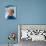 Doris Day-null-Photo displayed on a wall
