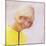 Doris Day-null-Mounted Photo