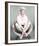 Doris Day-null-Framed Photo