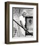 Doris Day-null-Framed Photo