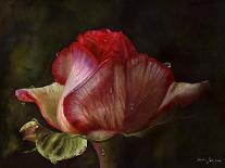 Eden Rose With Bud-Doris Joa-Giclee Print