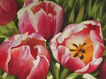 Red Parrot Tulip-Doris Joa-Giclee Print