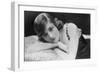 Doris Keane, American Actress, Early 20th Century-Claude Harris-Framed Photographic Print