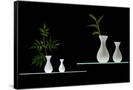 Canvas Black
