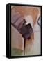 Canvas Black