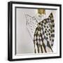 Black Frame