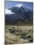 Dormant Volcano, Mount Ngauruhoe, Tongariro National Park, Taupo-Tony Waltham-Mounted Photographic Print