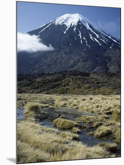Dormant Volcano, Mount Ngauruhoe, Tongariro National Park, Taupo-Tony Waltham-Mounted Photographic Print