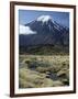 Dormant Volcano, Mount Ngauruhoe, Tongariro National Park, Taupo-Tony Waltham-Framed Photographic Print