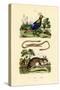 Dormouse, 1833-39-null-Stretched Canvas