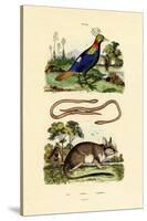Dormouse, 1833-39-null-Stretched Canvas