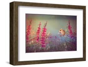 Dormouse party-Claire Westwood-Framed Art Print