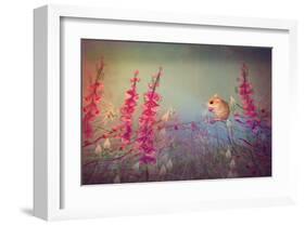 Dormouse party-Claire Westwood-Framed Art Print