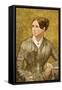 Dorothea Dix, American Reformer-Science Source-Framed Stretched Canvas