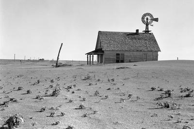 Dust Bowl Farm