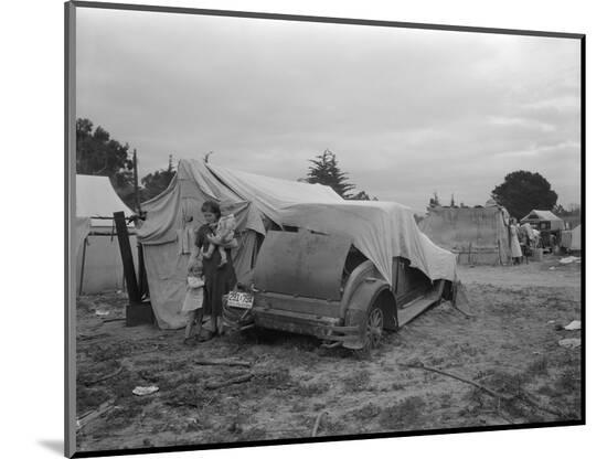 Photographic Print, , large