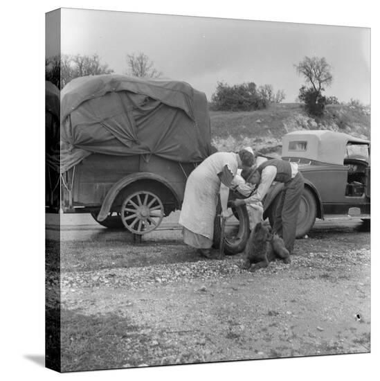 Stretched Canvas Print, , large