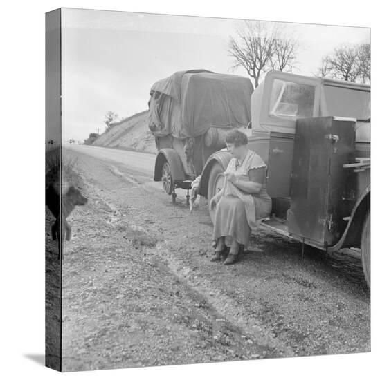 Stretched Canvas Print, , large