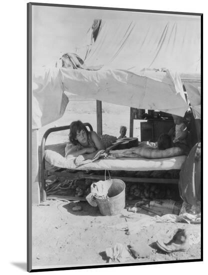 Photographic Print, , large