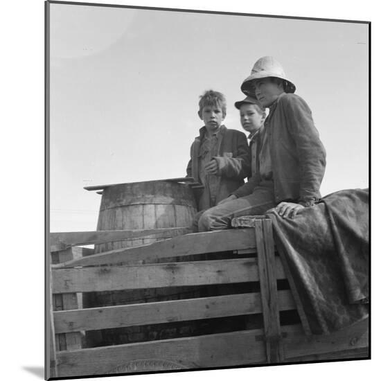 Photographic Print, , large