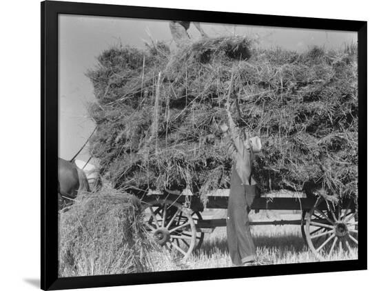 Premium Photographic Print, , large