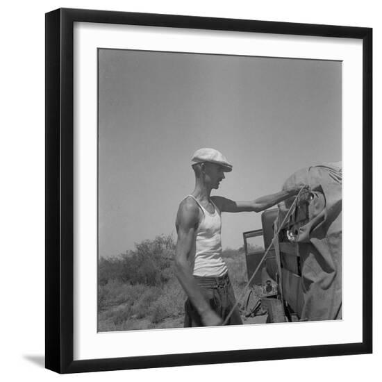 Photographic Print, , large
