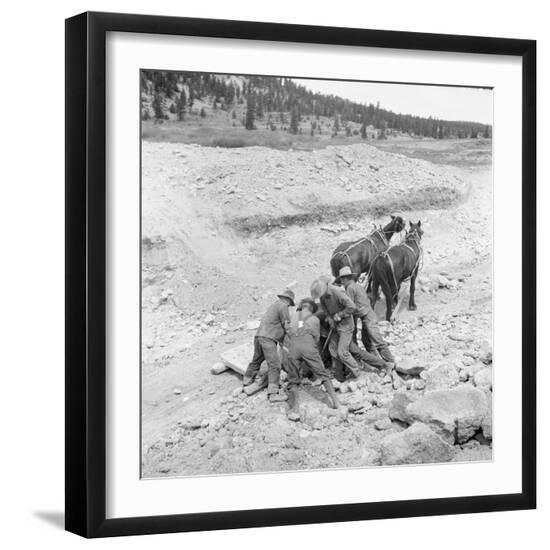 Photographic Print, , large