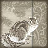 Timberland Fox-Dorothea Taylor-Art Print