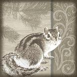 Timberland Squirrel-Dorothea Taylor-Framed Art Print