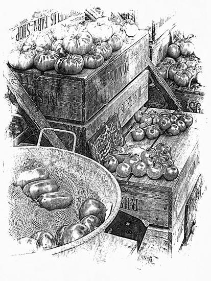 Premium Giclee Print, , large