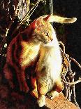 Wake Me When It Is Dinner Time-Dorothy Berry-Lound-Giclee Print